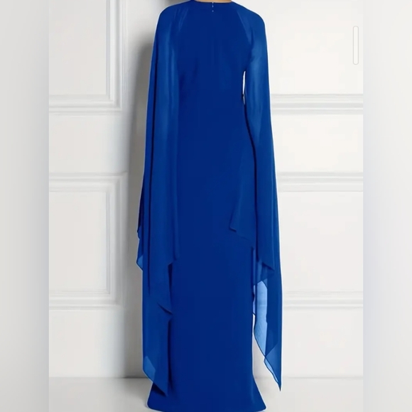 Plus Size Beautiful Stretch Dress w Sheer Sleeves (18+/2X) - Picture 4 of 4